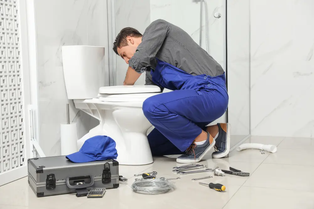 Toilet Repair in South Union